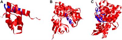 Identification of resistance gene analogs of the NBS-LRR family through transcriptome probing and in silico prediction of the expressome of Dalbergia sissoo under dieback disease stress